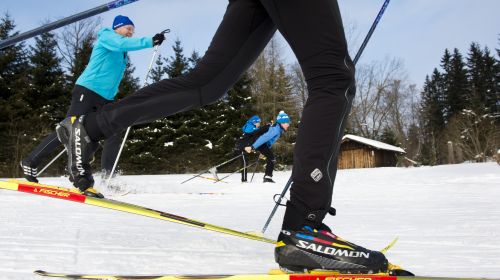 Systém běžeckých tratí Waldstein a Epprechstein