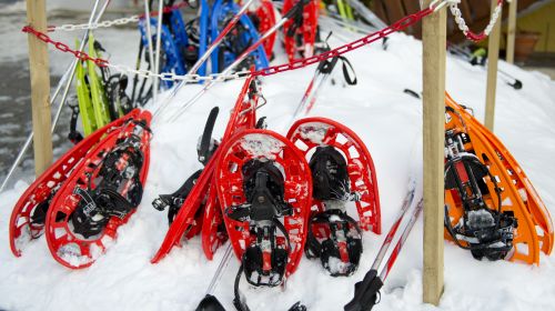 Putování na sněžnicích im Fichtelgebirge