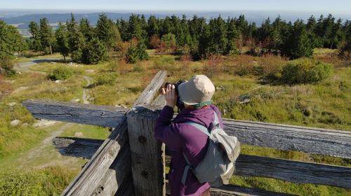 Rozhledna Backöfele am Schneeberg