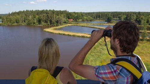 Pánevní oblast Tischenreuth