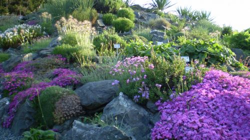 Botanická zahrada Adorf