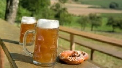 Erlhof - nejstarší pivovar  v Bavorsku (älteste Brauerei Bayerns)