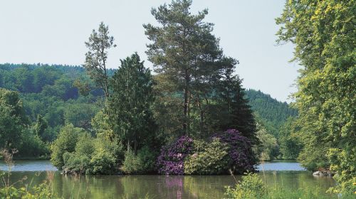 Fürstlich Greizer Park