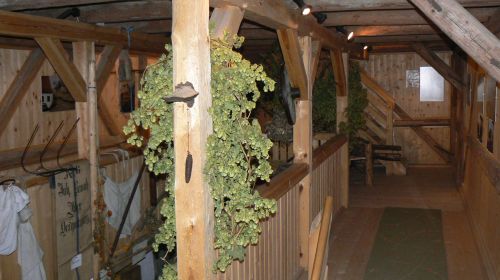 Chmelnice Illschwang