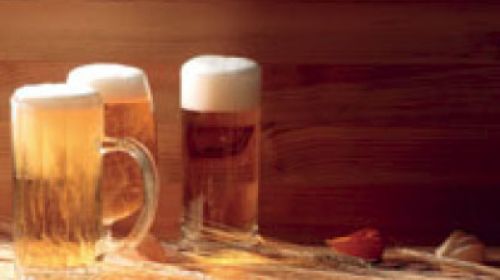 Region s největší hustotou pivovarů na světě