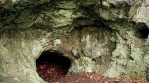 NPP Skalky skřítků