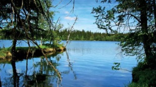 NPR Kladské rašeliny