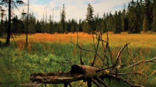 NPR Velké jeřábí jezero