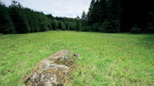 PP Žďár u Chodského Újezda