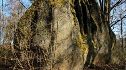 PP Kynžvartský kámen