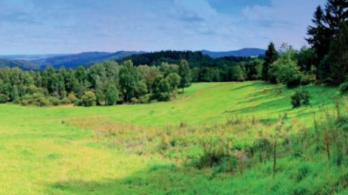 PP Prameniště Kateřinského potoka