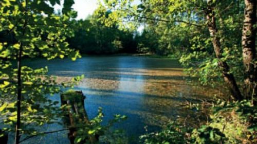 PP U Sedmi rybníků