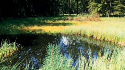 PR Jezírka u Rozvadova