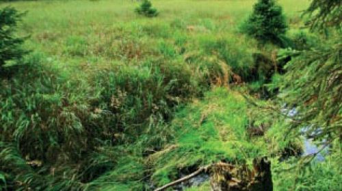 PR Malé jeřábí jezero