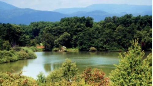 PR Ostrovské rybníky