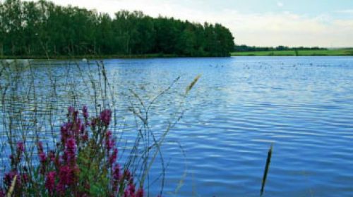 PR Tisovské rybníky