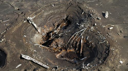 SOOS - nejrozsáhlejší komplex rašelinišť a slatinišť v ČR