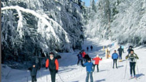 První síť lyžařských stop překračující Německo-českou hranici (Silberhütte-Zlatý potok/Goldbach)