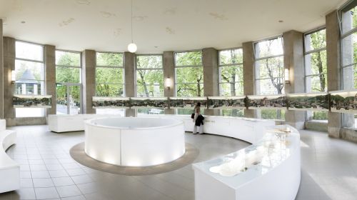 Saské lázeňské muzeum - Bad Elster