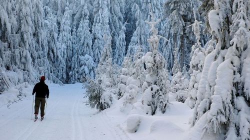 Centrum běžeckého lyžování Silberhütte
