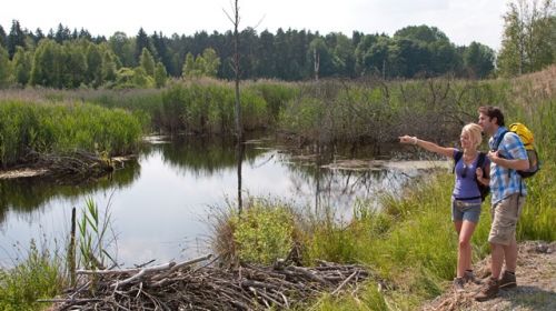 Vilsecker Mulde/Mulda 